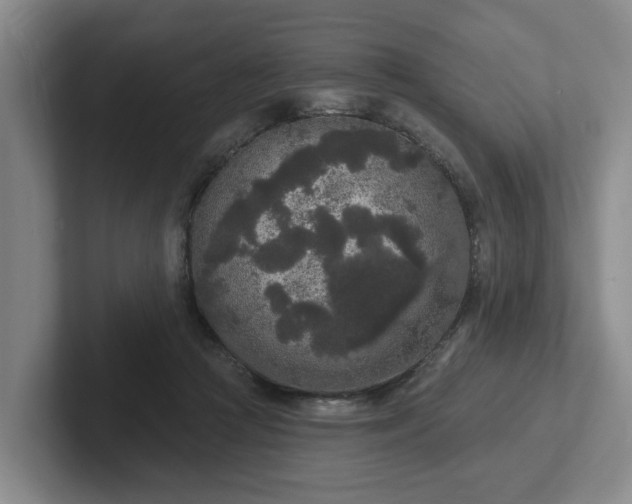 X0000102000361200807251251