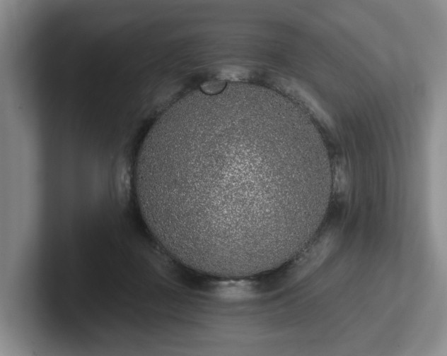 X0000102000363200807251251