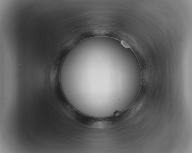 X0000102000364200807251251