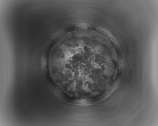 X0000102000365200807251251