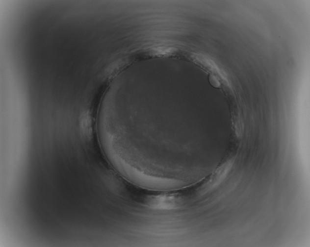 X0000102000366200807251251