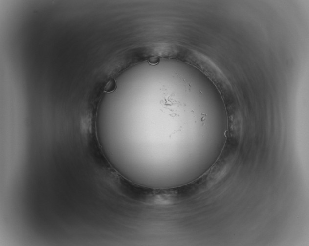 X0000102000368200807251251