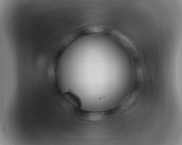 X0000102000373200807251251