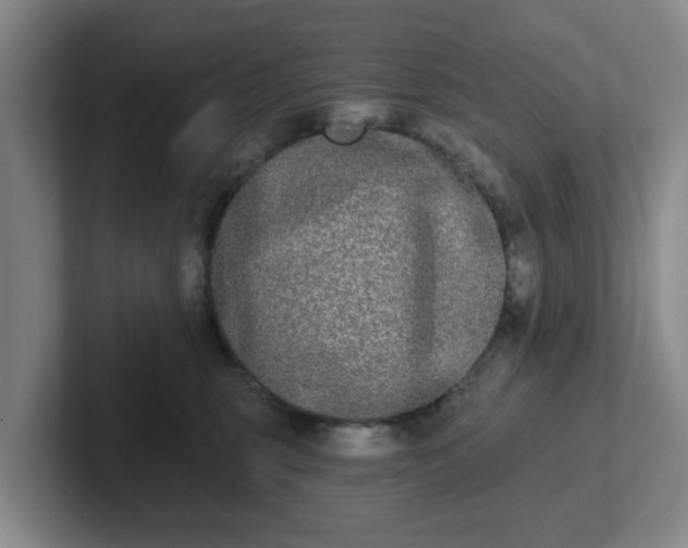 X0000102000375200807251251