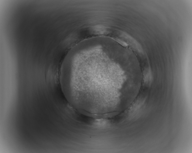 X0000102000376200807251251