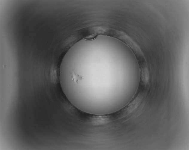 X0000102000378200807251251