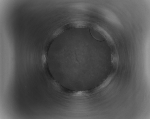 X0000102000382200807251251