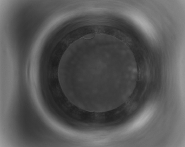 X0000102000383200807251251