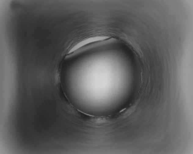 X0000102000384200807251251