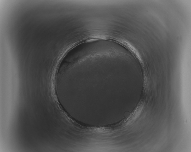 X0000102000385200807251250