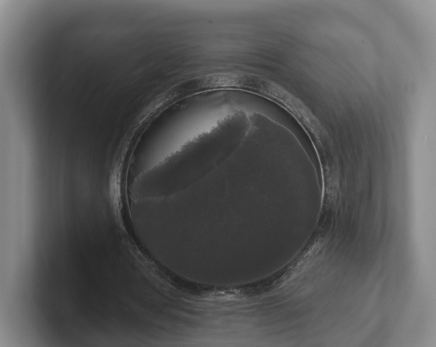 X0000102000386200807251250