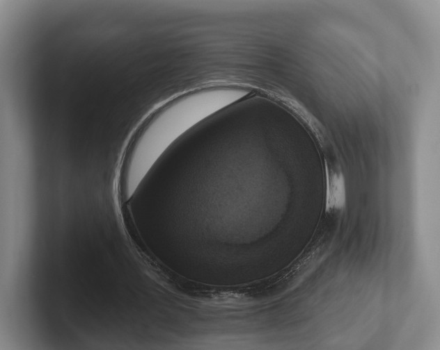 X0000102000387200807251250