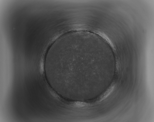 X0000102000393200807251250