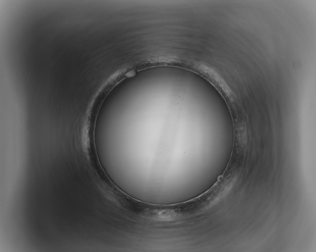 X0000102000395200807251250