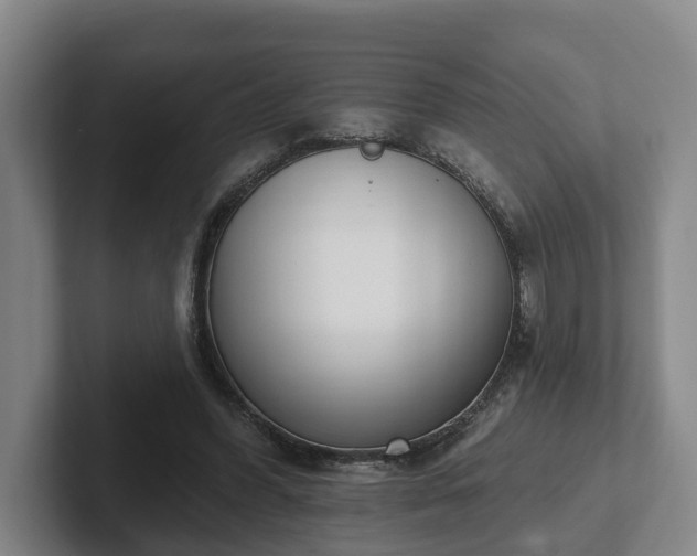 X0000102000396200807251250