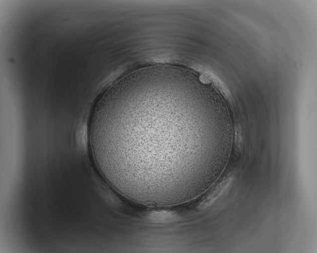 X0000102000397200807251250