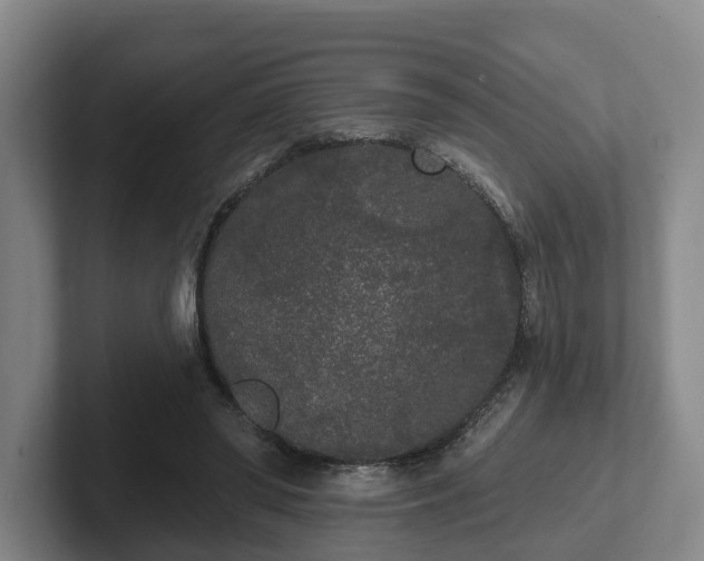 X0000102000398200807251250