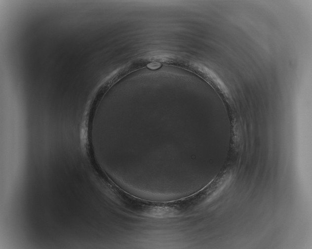 X0000102000399200807251250