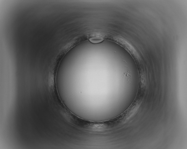 X0000102000401200807251250