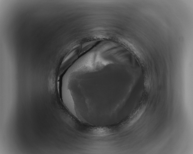 X0000102000402200807251250