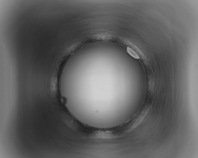 X0000102000403200807251250