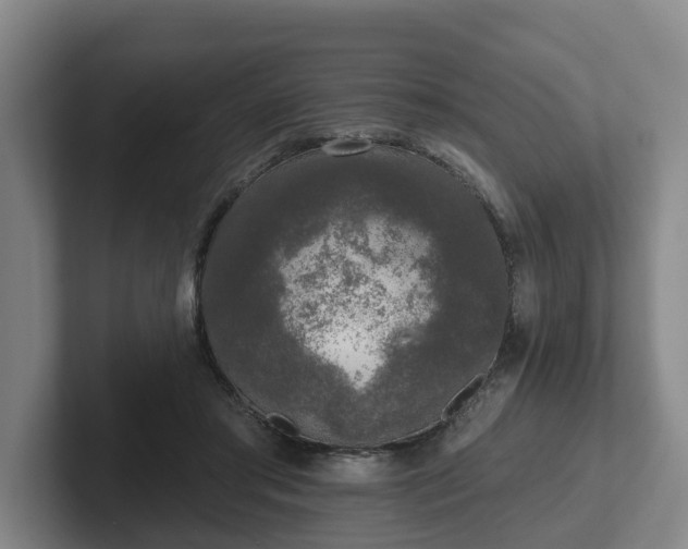 X0000102000405200807251250