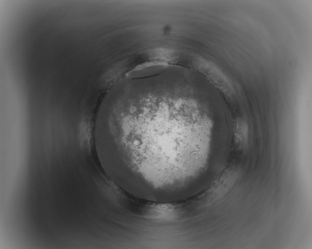 X0000102000409200807251250