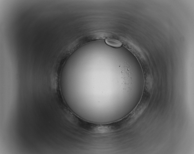 X0000102000413200807251250