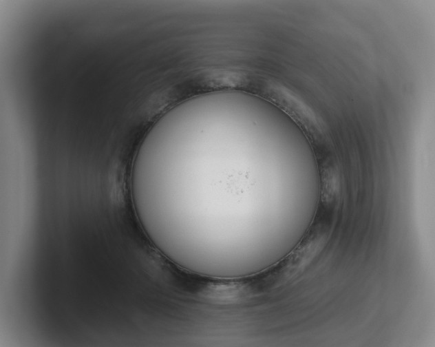 X0000102000414200807251250