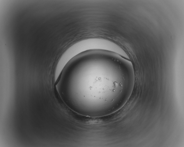 X0000102000415200807251250