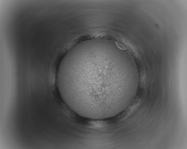 X0000102000417200807251250