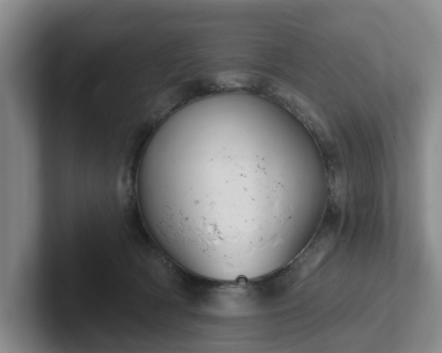 X0000102000418200807251250