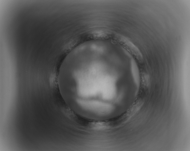 X0000102000419200807251250