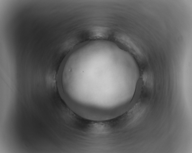 X0000102000423200807251250