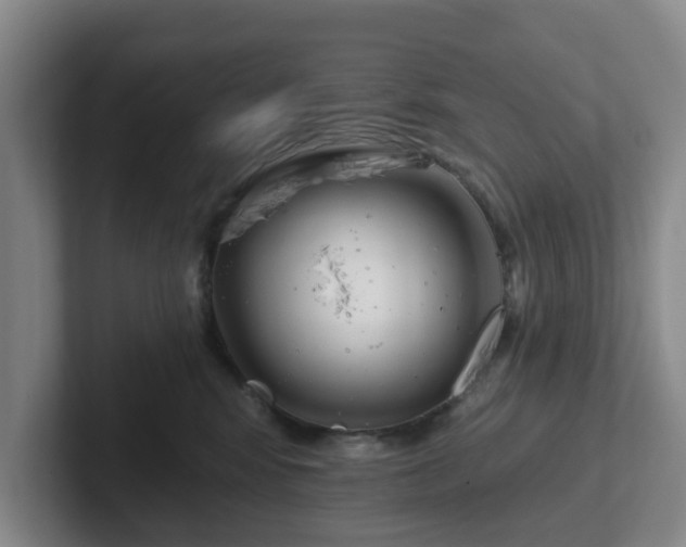 X0000102000424200807251250