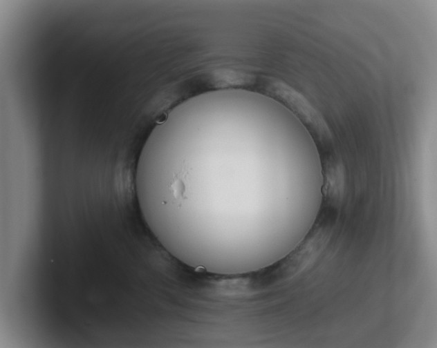 X0000102000426200807251250