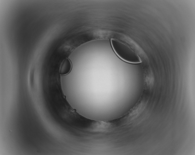 X0000102000429200807251250