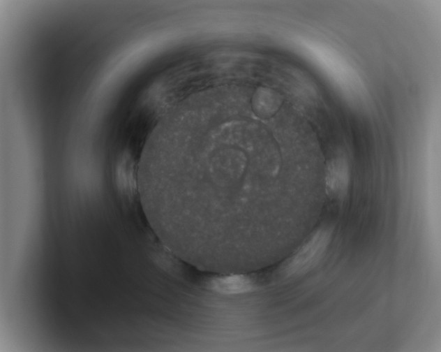 X0000102000431200807251250