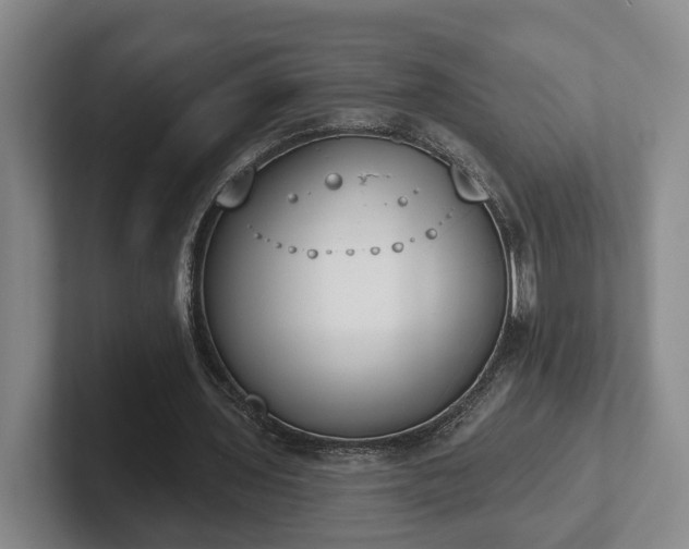 X0000102000435200807251249