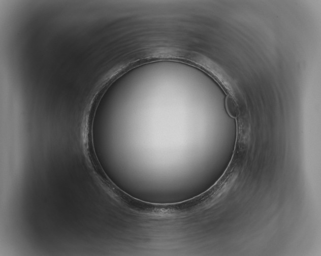 X0000102000437200807251249