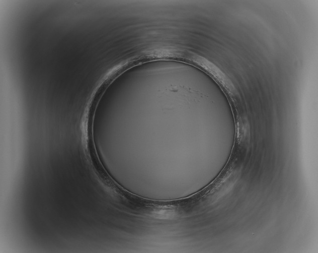 X0000102000438200807251249