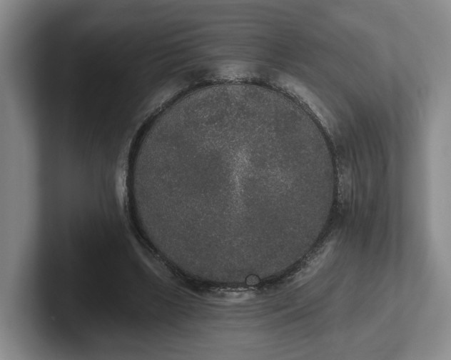 X0000102000443200807251249