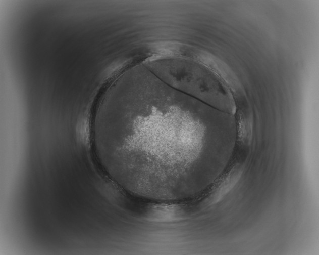 X0000102000444200807251249