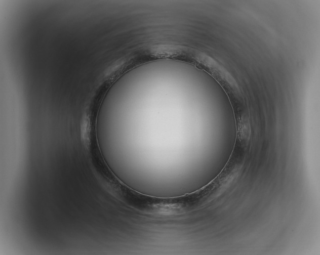 X0000102000448200807251249