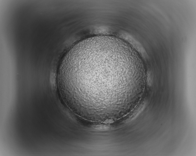 X0000102000449200807251249