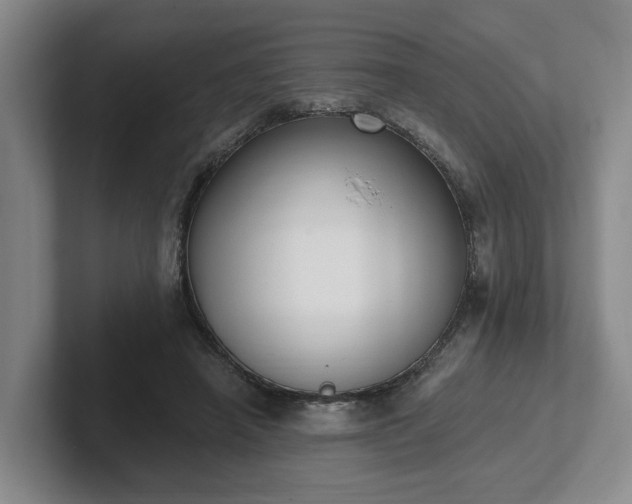 X0000102000450200807251249