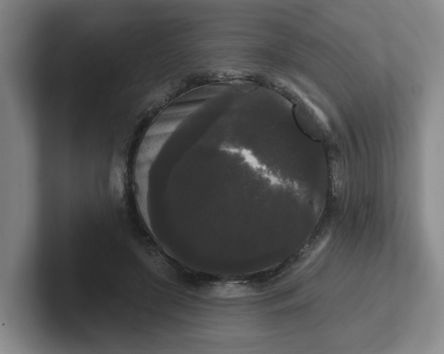 X0000102000451200807251249