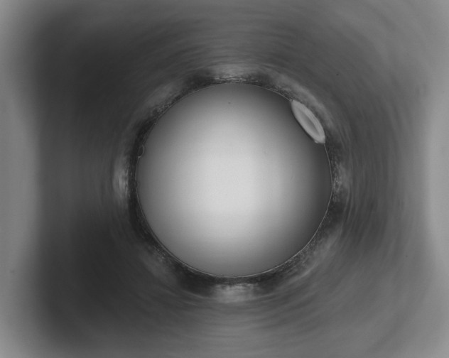 X0000102000452200807251249