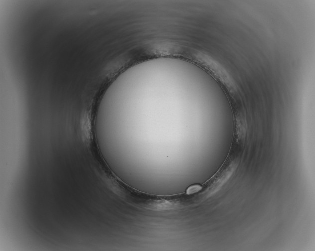 X0000102000453200807251249