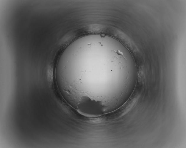 X0000102000454200807251249